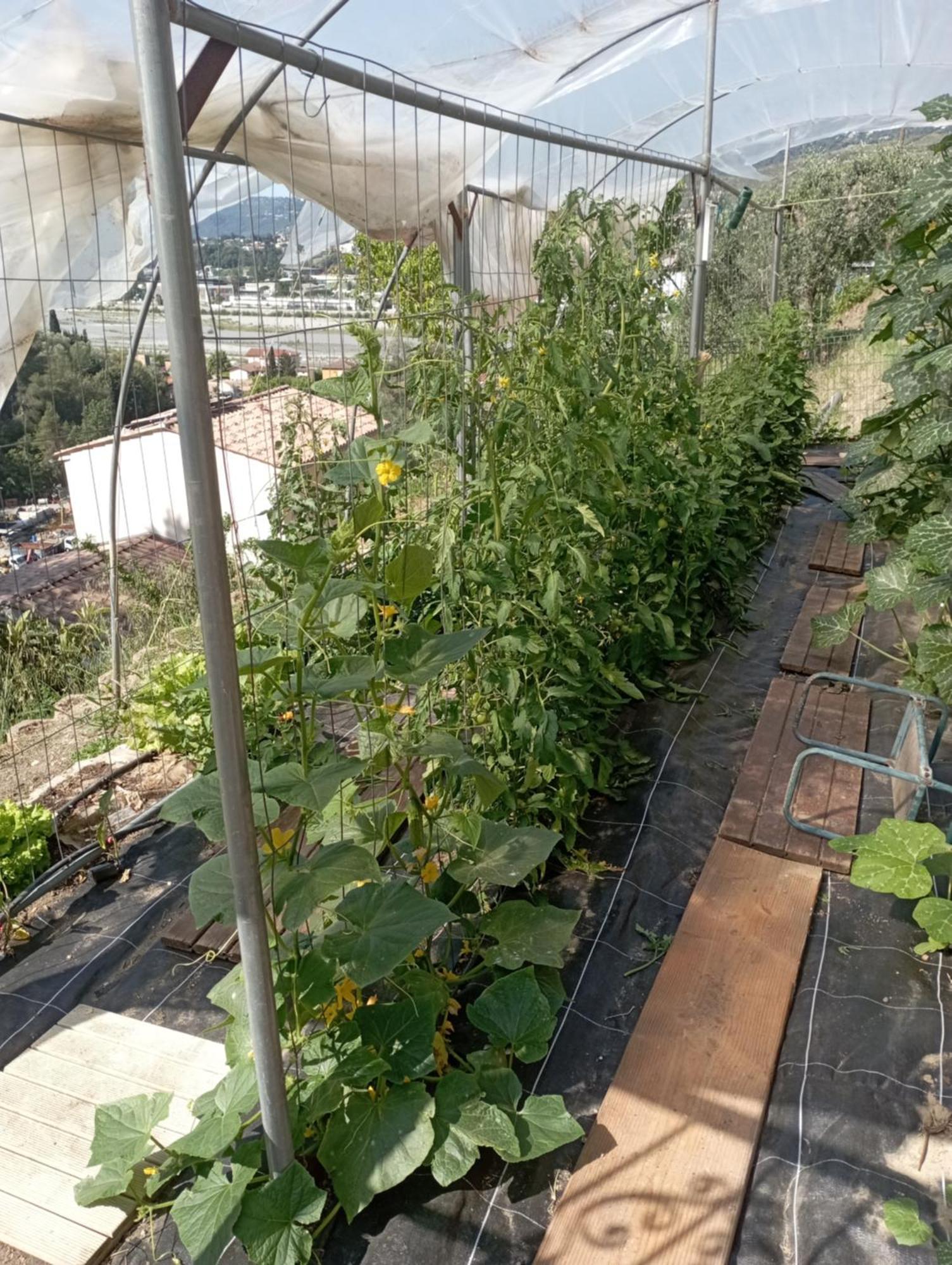 Appartamento La Vigne Sous Les Pins Castagniers Esterno foto